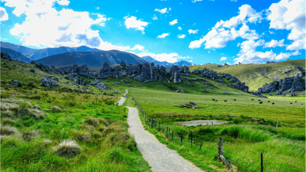 New Zealand View