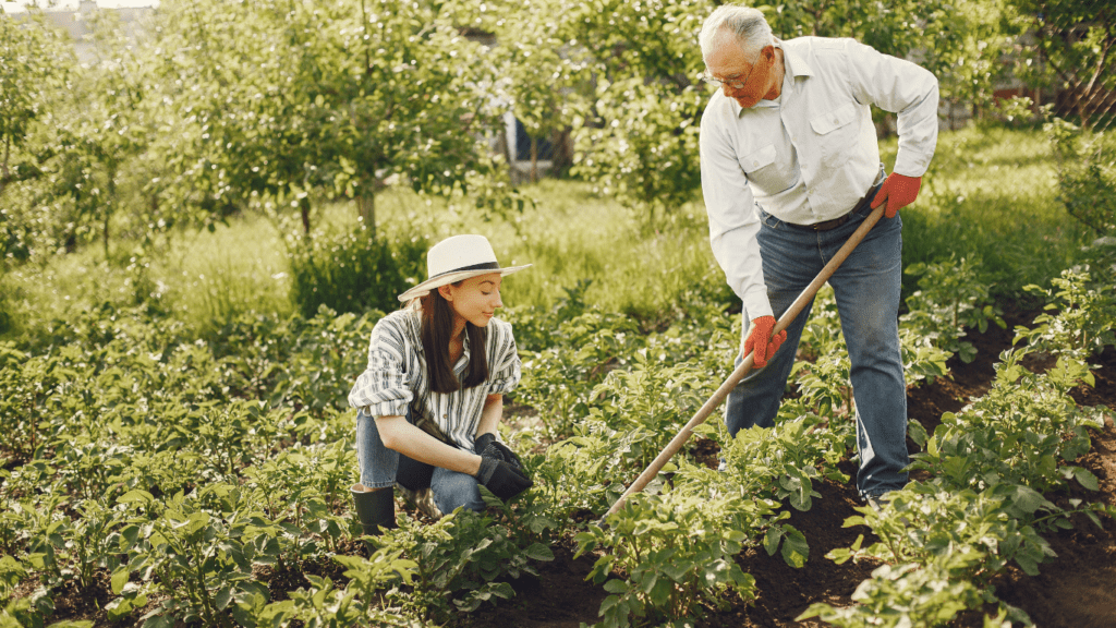 Organic Gardening