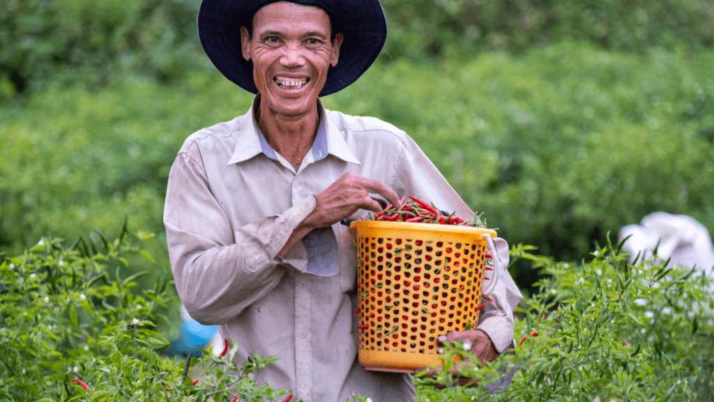 Organic Farming