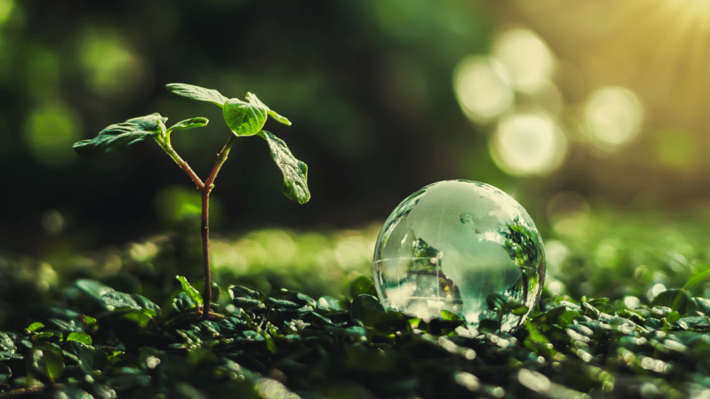 The Rise of Green Technology in the Startup World