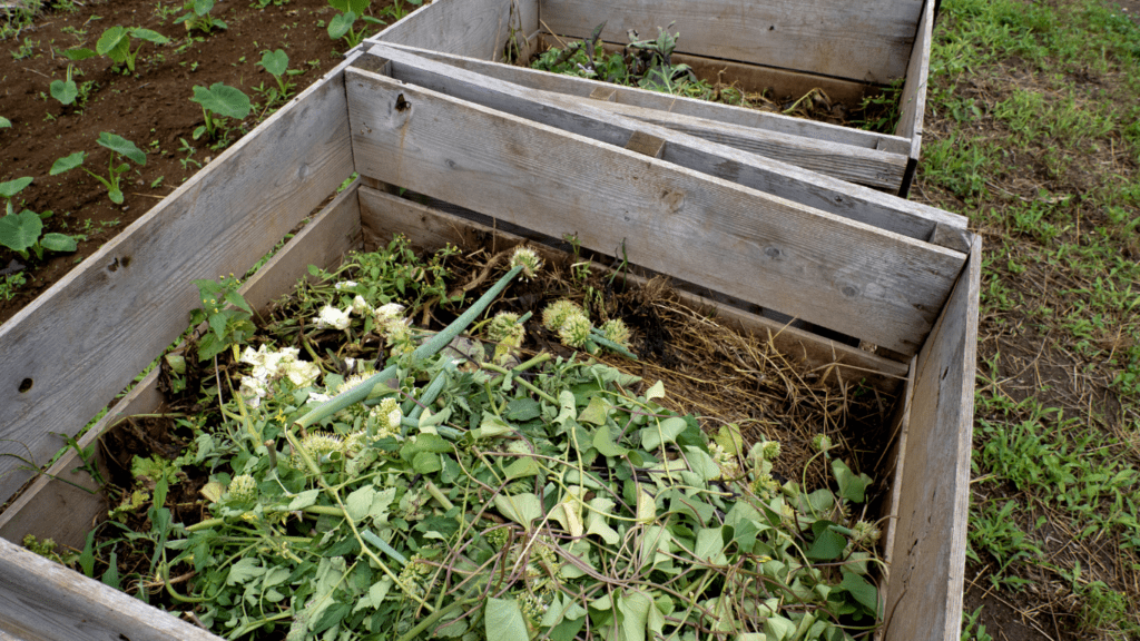 Compost Bin