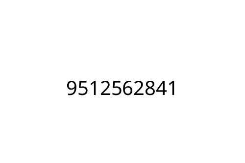 9512562841