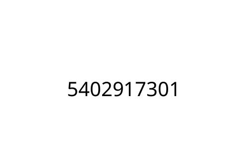5402917301
