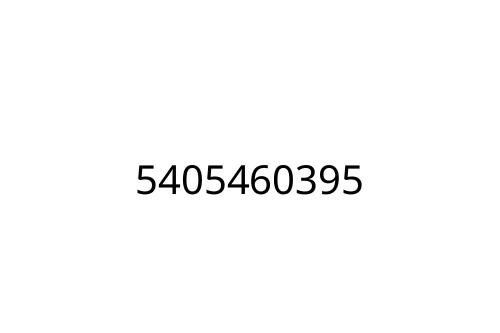 5405460395