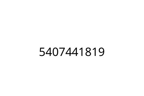 5407441819