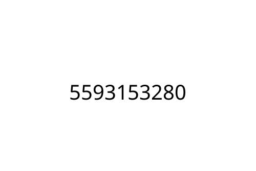 5593153280