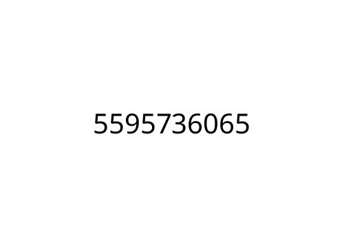 5595736065