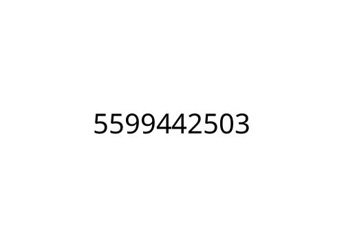 5599442503