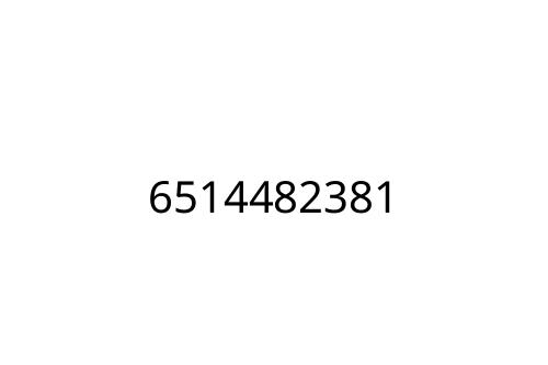 6514482381