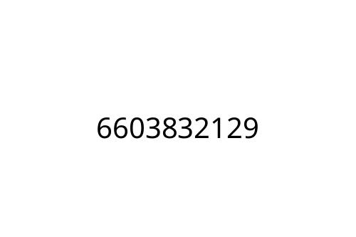 6603832129