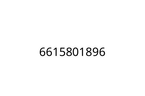 6615801896