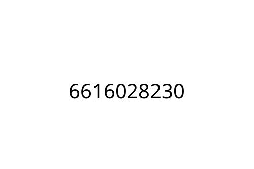 6616028230