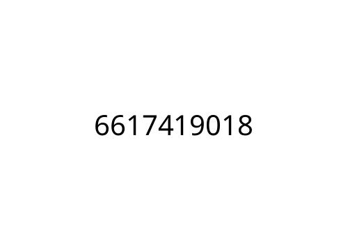 6617419018