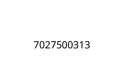 7027500313