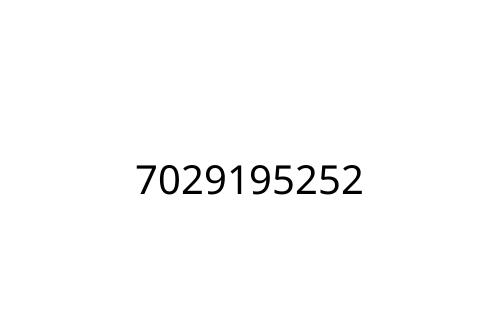 7029195252