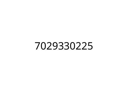 7029330225