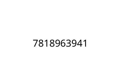 7818963941