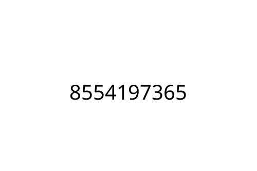 8554197365