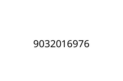9032016976