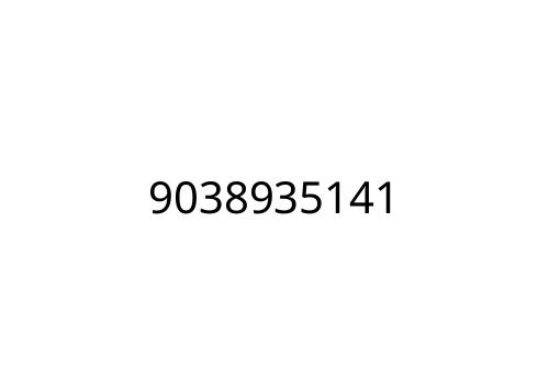 9038935141