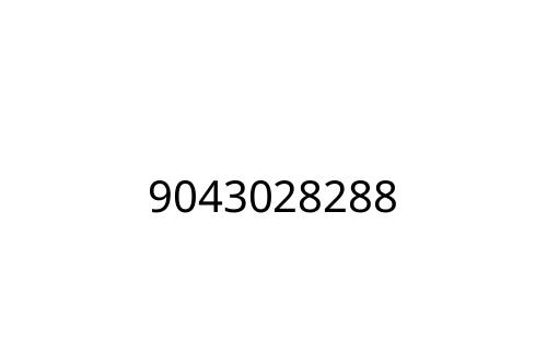9043028288
