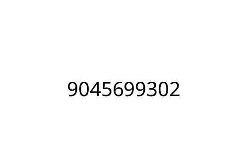 9045699302