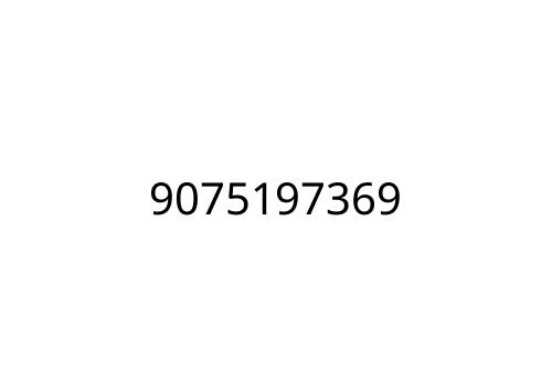 9075197369