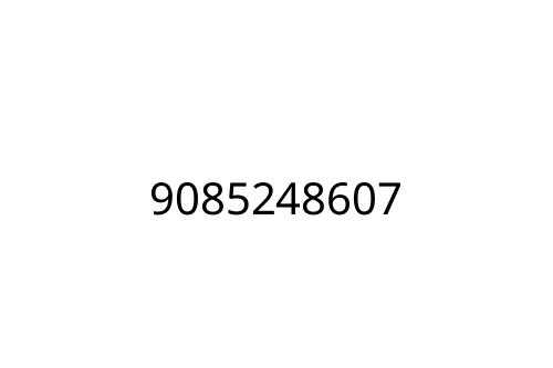 9085248607