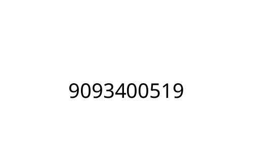 9093400519