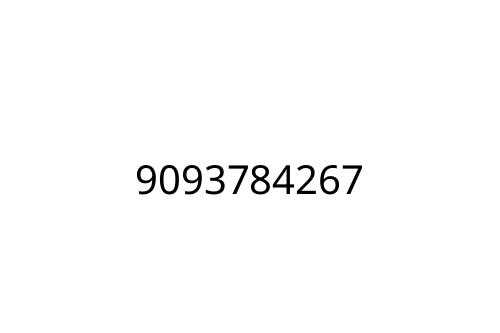 9093784267
