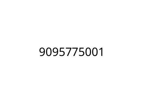 9095775001