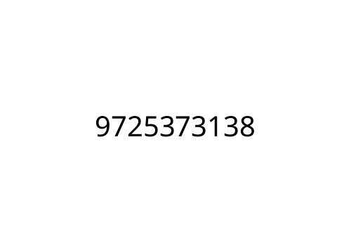 9725373138