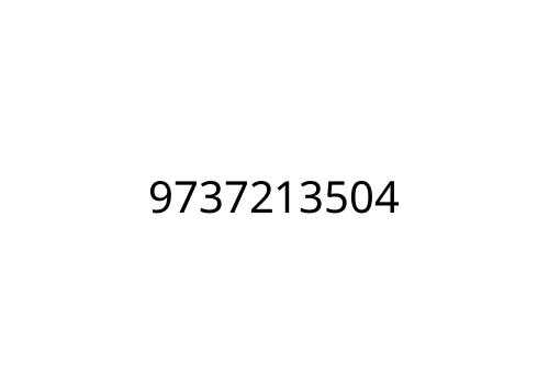 9737213504