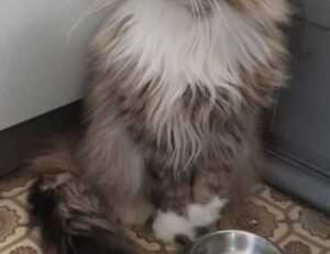 gifts for the family lwspeakgift