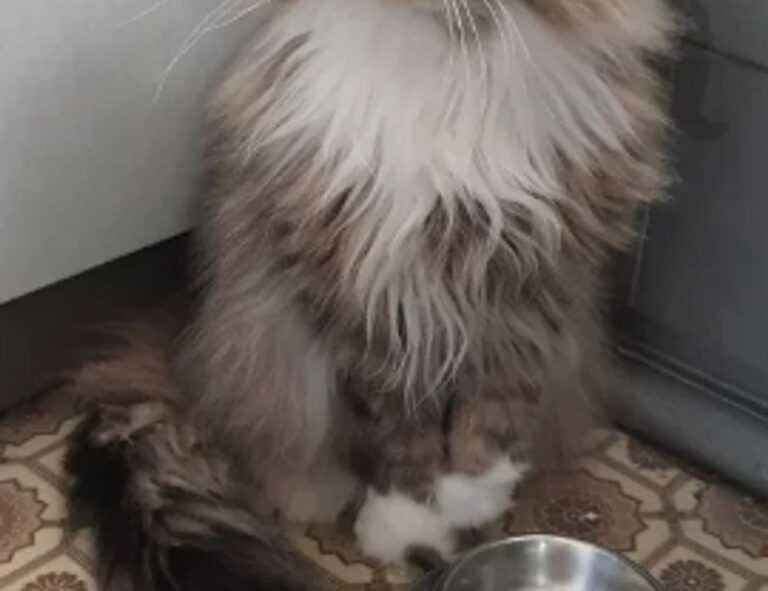 gifts for the family lwspeakgift