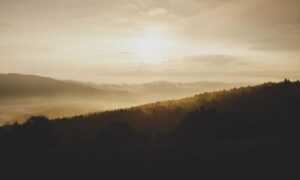 how to fix bug on evebiohaztech