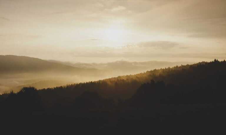 how to fix bug on evebiohaztech