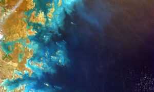 is feduspray home air freshener spray the best for your home