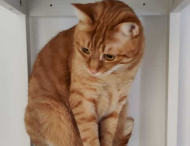 lwspeakgift gift guide by letwomenspeak