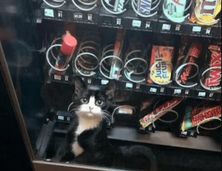 why are gifts important in a relationship lwspeakgift