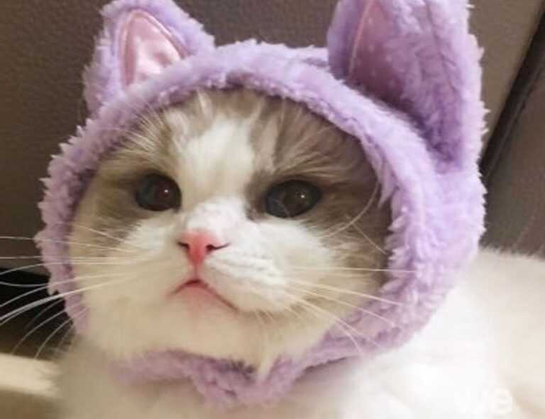 why immorpos35.3 software implementations fail