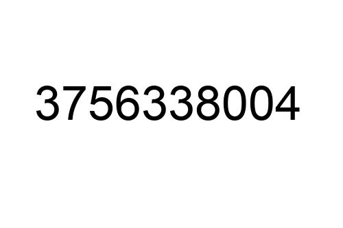 3756338004