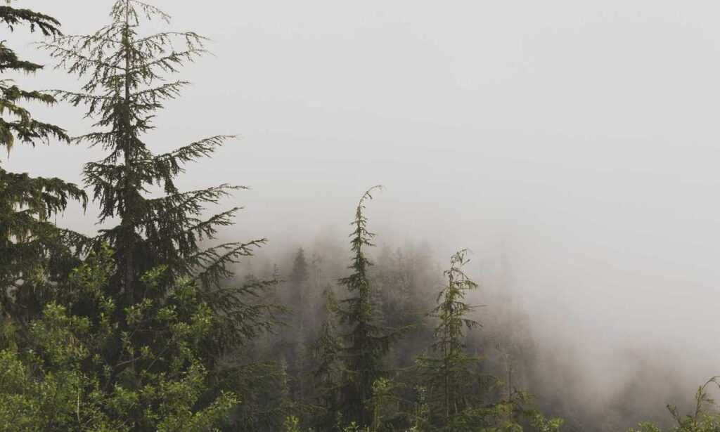 76ers vs orlando magic match player stats