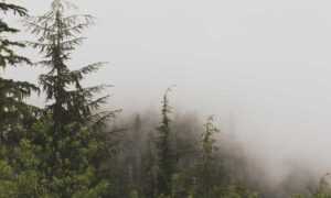 76ers vs orlando magic match player stats