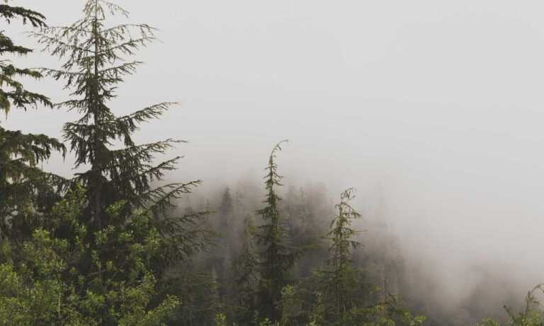 76ers vs orlando magic match player stats