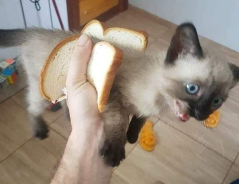 cute girly_m 3 best friends