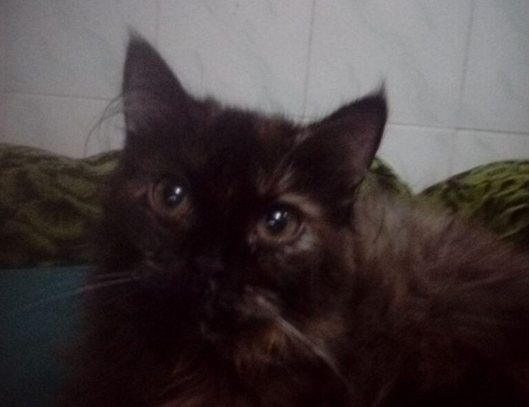 mia bailey leaked onlyfans