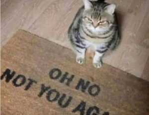 tortas de memes para hombres