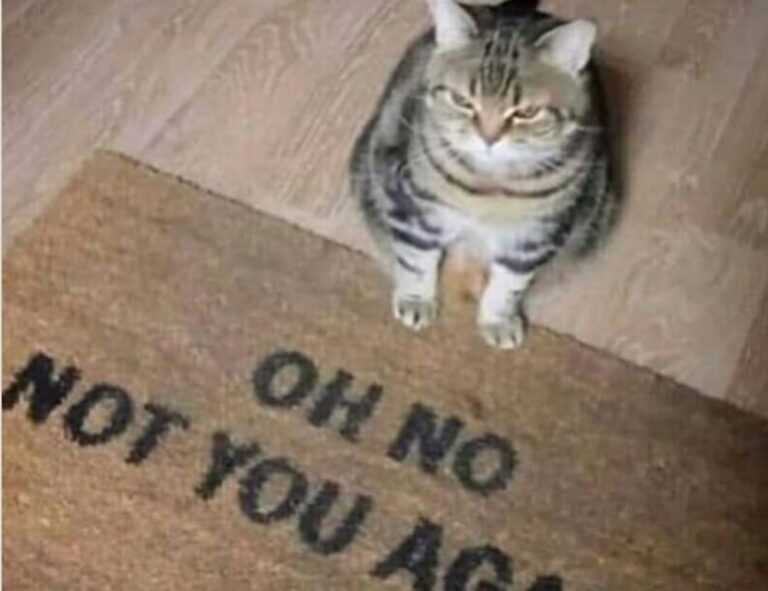 tortas de memes para hombres