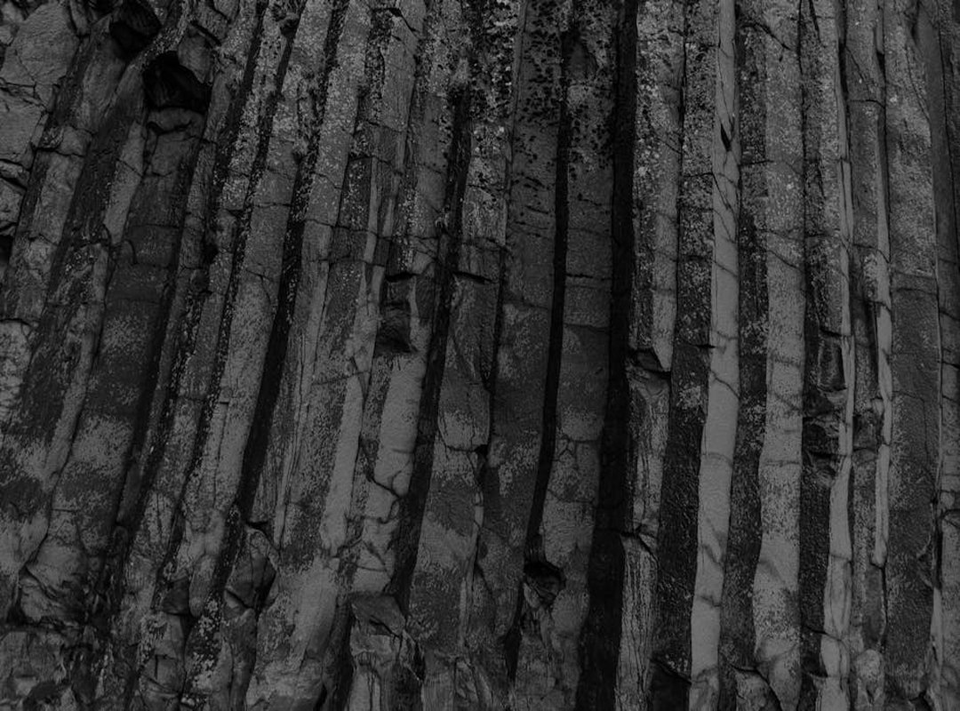 What Bigussani Made From